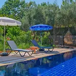 Willa Tuzlu Sistem Havuzlu Luks Fethiye