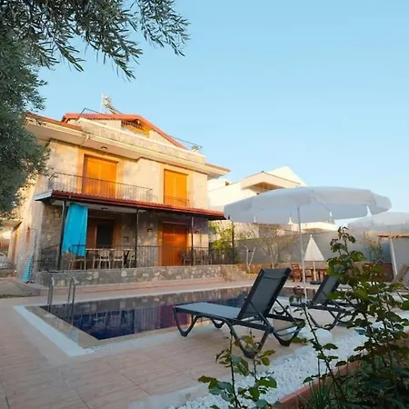 Villa Tuzlu Sistem Havuzlu Luks *