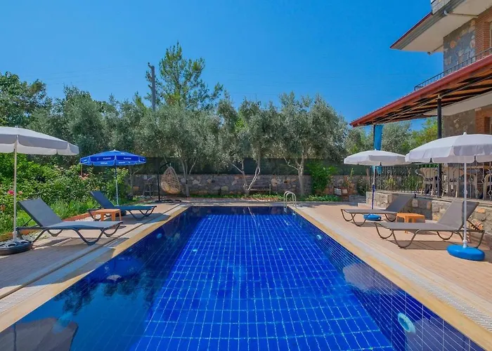 Tuzlu Sistem Havuzlu Luks 페티예